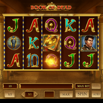 WildRobin - Book of Dead Slot Game - Play N Go Casino Game